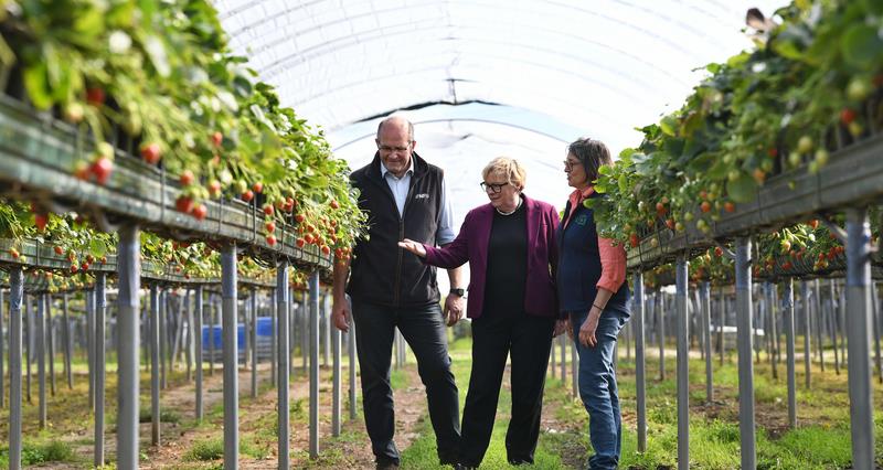 Bradshaw, Eagle, Marion Regan